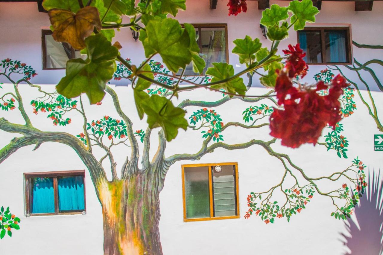 Tucan Hostel Cusco Exteriör bild